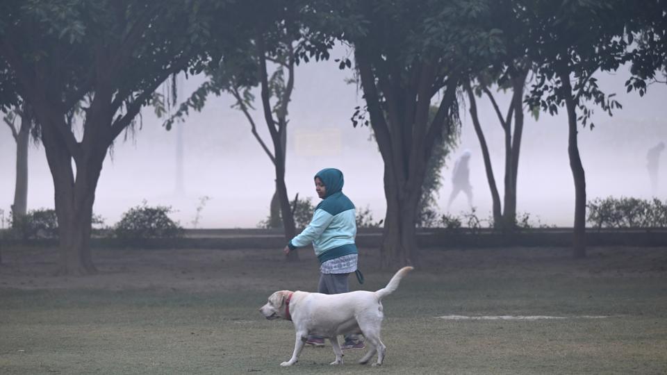 Delhi’s Air Quality Index (AQI) on Monday was recorded at 347, significantly better than the 407 logged on Sunday. (Sunil Ghosh/HT Photo) Delhi’s Air Quality Index (AQI) on Monday was recorded at 347, significantly better than the 407 logged on Sunday. (Sunil Ghosh/HT Photo)