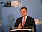 Ukraine's Foreign Minister Dmytro Kuleba said it was "morally inappropriate". Ukraine's Foreign Minister Dmytro Kuleba said it was "morally inappropriate".
