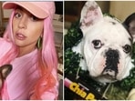 Following the incident, Lady Gaga offered a $500,000 reward for the return of dogs Koji and Gustav. Following the incident, Lady Gaga offered a $500,000 reward for the return of dogs Koji and Gustav.