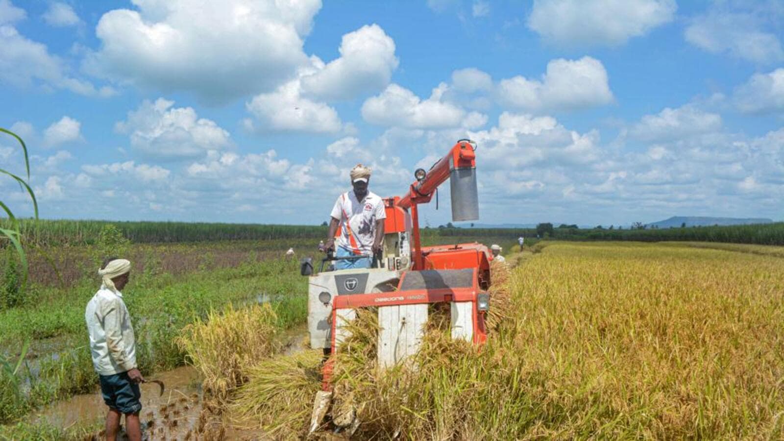 ‘Paltry’ insurance payouts irks rainaffected farmers, Centre denies