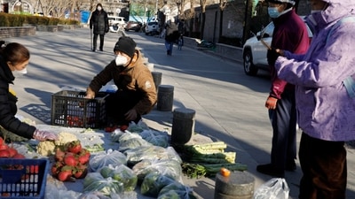 Covid In China: People shop for vegetables at a street stall in Beijing. (Reuters)