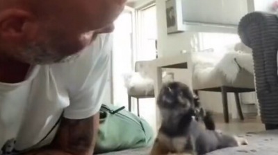 The image, taken from the viral Twitter video, shows the dog and its pet parent. (Twitter/@buitengebieden)