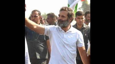 Haryana Cong forms 14 committees for Bharat Jodo Yatra (ANI) Haryana Cong forms 14 committees for Bharat Jodo Yatra (ANI)