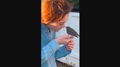 The image, taken from the viral Instagram video, shows the girl beautifully singing for the bird. (Instagram/@gableswanlund)