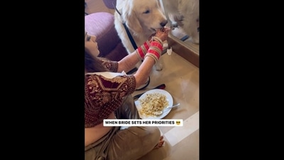 Bride feeding her pet dog Buzo in viral Instagram video. (Instagram/@simark_makeup) Bride feeding her pet dog Buzo in viral Instagram video. (Instagram/@simark_makeup)