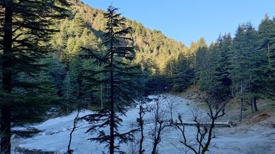 Mussoorie, also known as the Queen of the Hills, is another of India's top locations for snowfall, where you can watch the area turn into a snow-covered heaven. At higher heights like Lal Tibba, Gun Hill, and George Everest in December, you can experience snowfall. Additionally, it's a fun location to try roller skating and ice skating. (Unsplash) Mussoorie, also known as the Queen of the Hills, is another of India's top locations for snowfall, where you can watch the area turn into a snow-covered heaven. At higher heights like Lal Tibba, Gun Hill, and George Everest in December, you can experience snowfall. Additionally, it's a fun location to try roller skating and ice skating. (Unsplash)
