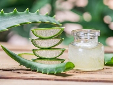 Aloe vera has antioxidants which naturally improve your complexion. (Unsplash) Aloe vera has antioxidants which naturally improve your complexion. (Unsplash)
