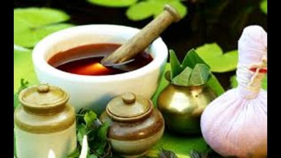 To make Ayurveda effective, modern-day health issues and challenges must be factored in while formulating solutions (HT PHOTO)