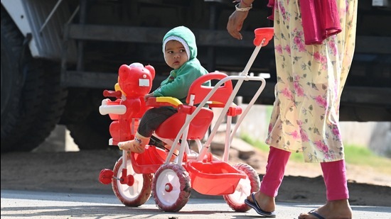 BABY’S DAY OUT: A toddler bundled up in woollens for a stroll outside in Mohali on Wednesday. The day temperature dipped from 24.8°C on Tuesday to 23.8°C on Wednesday. (Sanjeev Sharma/HT)