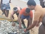 The image is taken from one of the videos that shows the rescue of  a dugong and an olive ridley turtle in Tamil Nadu.