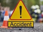 The driver of the truck was trying to save a snake and braked abruptly, causing the pile-up. (Representative Photo) The driver of the truck was trying to save a snake and braked abruptly, causing the pile-up. (Representative Photo)