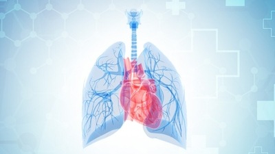 Pulmonary hypertension: Causes, symptoms, risk factors, complications, diagnosis, treatment (Twitter/PFFORG) Pulmonary hypertension: Causes, symptoms, risk factors, complications, diagnosis, treatment (Twitter/PFFORG)