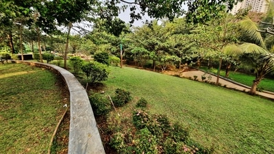 The Municipal Corporation Natural Garden is one of the spots identified to be developed as a Miyawaki forest among seven others by Thane Municipal Corporation. (Praful Gangurde/HT PHOTO) The Municipal Corporation Natural Garden is one of the spots identified to be developed as a Miyawaki forest among seven others by Thane Municipal Corporation. (Praful Gangurde/HT PHOTO)