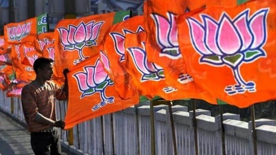 A Bharatiya Janta Party worker erecting BJP flags.(Nitin Kanotra / Hindustan Times) A Bharatiya Janta Party worker erecting BJP flags.(Nitin Kanotra / Hindustan Times)