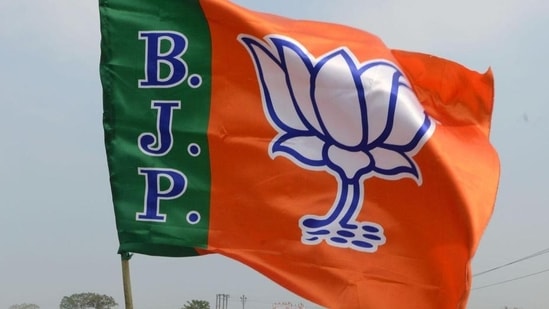 BJP leader Bachubhai Kishori wins Dahod Assembly seat in Gujarat