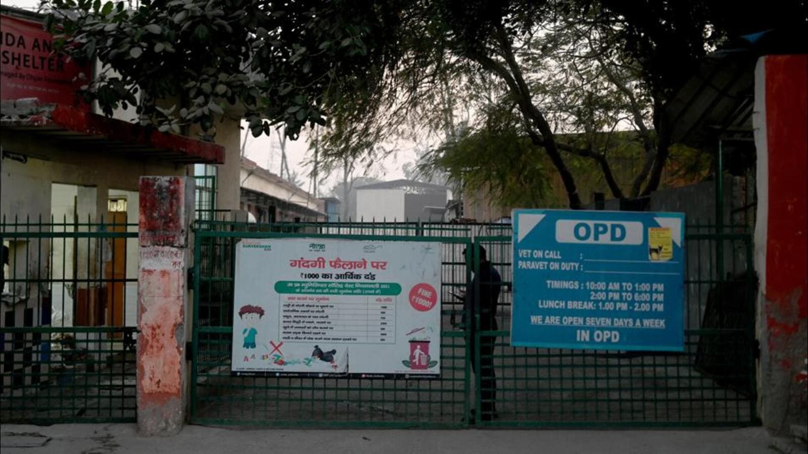 110 goats missing from Noida animal shelter, manager booked Hindustan Times