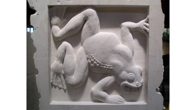 A sculpture of the gastric brooding frog, an Australian species that went extinct this century, by sculptor Tim Lees. The species had an astonishing lifecycle: The female would eat its eggs; the tadpole stage occurred in her gut. She would then “deliver” fully formed frogs from her mouth. “Medical researchers hoped the species would point the way to treating peptic ulcers, because for the duration of her ‘pregnancy’, the production of acid in the mother’s gut, necessary for digestion, ceased,” says Sebastian Brooke, director of Eden Portland, an underground memorial to lost species now being built in the UK. (Image Courtesy: Eden Portland) A sculpture of the gastric brooding frog, an Australian species that went extinct this century, by sculptor Tim Lees. The species had an astonishing lifecycle: The female would eat its eggs; the tadpole stage occurred in her gut. She would then “deliver” fully formed frogs from her mouth. “Medical researchers hoped the species would point the way to treating peptic ulcers, because for the duration of her ‘pregnancy’, the production of acid in the mother’s gut, necessary for digestion, ceased,” says Sebastian Brooke, director of Eden Portland, an underground memorial to lost species now being built in the UK. (Image Courtesy: Eden Portland)