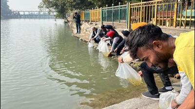 The officials of the department said that this will not only promote fish farming but will also help in the natural cleaning of water. (HT photo)