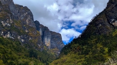 The team took pictures of the bird and compared it with the existing images of Wren Babblers. (Twitter/@PemaKhanduBJP)