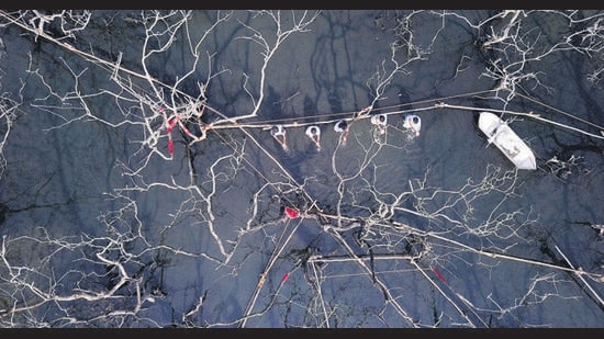 Red prayer flags made of gauze mark out dead mangroves in Goa, in a performance art project by Earthivist Collective called Mangrave: (En)circling the Loss. (Earthivist Collective)