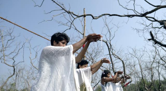 Members of the Earthivist Collective perform as part of the Mangrave: (En)circling the Loss public art project. (Earthivist Collective) Members of the Earthivist Collective perform as part of the Mangrave: (En)circling the Loss public art project. (Earthivist Collective)