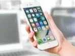 Best mobile screen guards for iPhone 13 