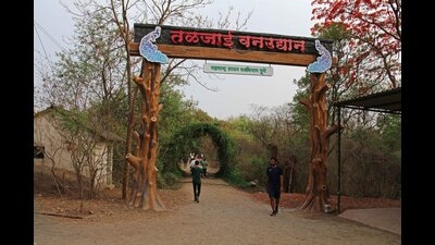 Citizens have demanded CCTV surveillance and regular police patrolling in the area. (HT FILE PHOTO)