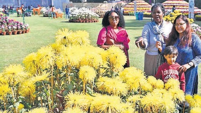 Visitors at the Chrysanthemum Show that began at Terraced Garden in Sector 33, Chandigarh, on Friday. (Keshav Singh/HT) Visitors at the Chrysanthemum Show that began at Terraced Garden in Sector 33, Chandigarh, on Friday. (Keshav Singh/HT)