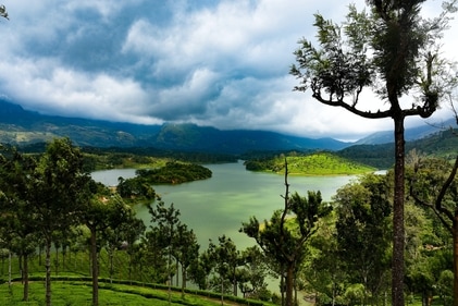 Munnar is perfect vacation getaway and having a holiday full of tranquilly, bliss, and solitude when one is surrounded by lush green valleys and beautiful flowing backwaters. (Unsplash) Munnar is perfect vacation getaway and having a holiday full of tranquilly, bliss, and solitude when one is surrounded by lush green valleys and beautiful flowing backwaters. (Unsplash)