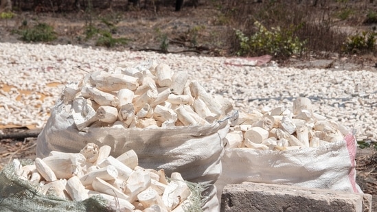 Boost Immune System: Cassava is a good source of vitamin C that can help protect against oxidative stress and support the function of immune cells in your body.&nbsp;(Unsplash)