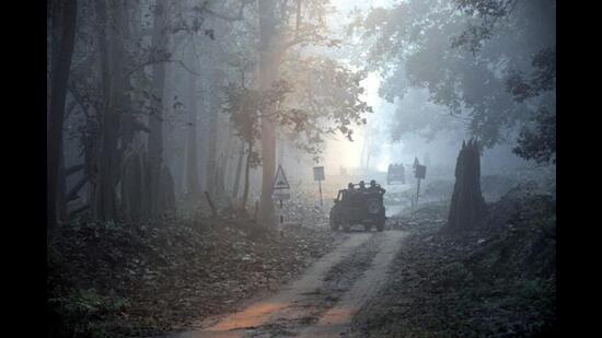 Dudhwa National Park is 226 kms from Lucknow (Upecotourism)