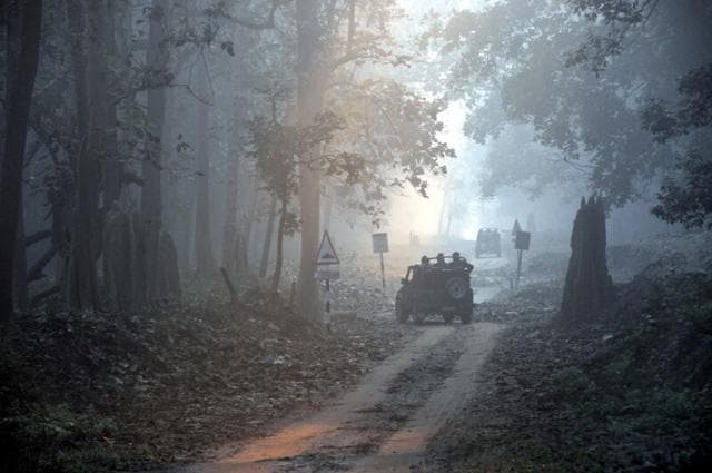 Dudhwa National Park is 226 kms from Lucknow (Upecotourism) Dudhwa National Park is 226 kms from Lucknow (Upecotourism)