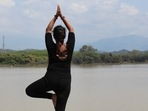 Vrikshasana or tree pose of Yoga Vrikshasana or tree pose of Yoga