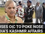 PAK USES OIC TO POKE NOSE IN INDIA’S KASHMIR AFFAIRS