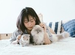 Playing with your cat is a wonderful thing as it strengthens your bond and makes you both happier.(pexels) Playing with your cat is a wonderful thing as it strengthens your bond and makes you both happier.(pexels)