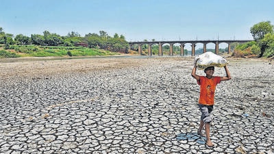 A boy carries a load on the parched river bed of Krishna river.The river bed remains dry as the water released from Koyna Dam does not reach here (UDAY DEOLEKAR) A boy carries a load on the parched river bed of Krishna river.The river bed remains dry as the water released from Koyna Dam does not reach here (UDAY DEOLEKAR)