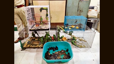 In June 2020, the Centre had issued an advisory on how to apply through Parivesh portal to import exotic species (HT FILE)