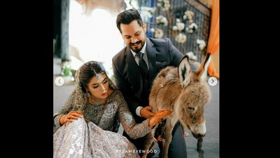 Pakistani groom gifts wife a donkey. (Instagram/@azlanshahofficial) Pakistani groom gifts wife a donkey. (Instagram/@azlanshahofficial)