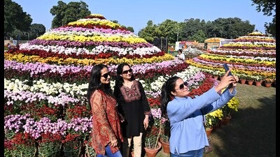Residents enjoying at the 35th annual Chrysanthemum show at Terraced Garden, Sector 33 (Photos: Keshav Singh/HT) Residents enjoying at the 35th annual Chrysanthemum show at Terraced Garden, Sector 33 (Photos: Keshav Singh/HT)