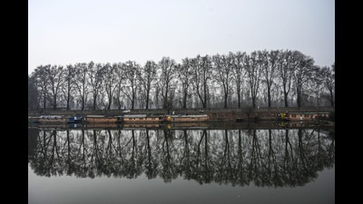The reflection of Chinar trees are on the surface of Dal Lake in Srinagar,on Saturday. (Waseem Andrabi/HT)