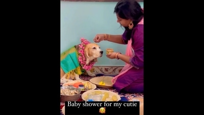 Woman applying tilak on pet dog's forehead. (Instagram/@suja_housemate) Woman applying tilak on pet dog's forehead. (Instagram/@suja_housemate)