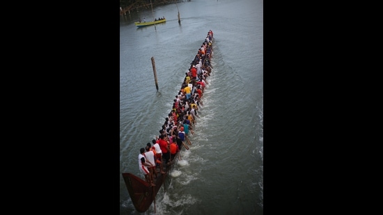 Boar races are one of the major attractions in Muziris, Kerala.