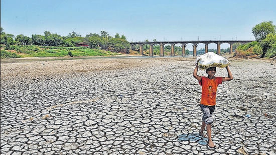 A boy carries a load on the parched river bed of Krishna river.The river bed remains dry as the water released from Koyna Dam does not reach here (UDAY DEOLEKAR)