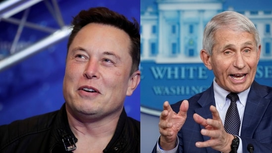 Twitter boss Elon Musk and chief medical advisor to US President, Anthony Fauci.