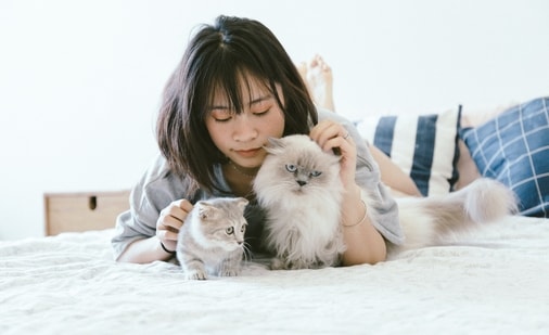 Playing with your cat is a wonderful thing as it strengthens your bond and makes you both happier.(pexels)