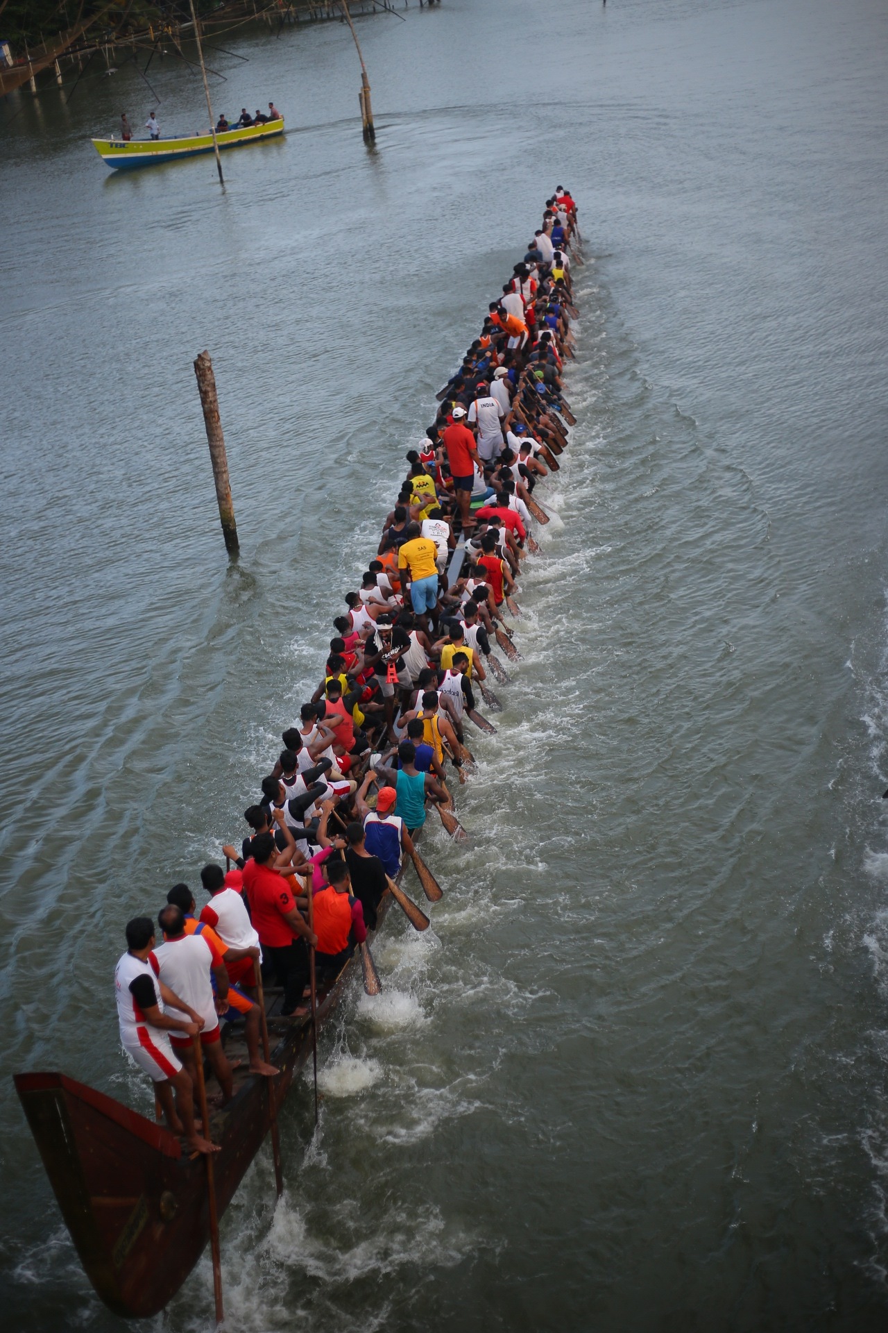 Boar races are one of the major attractions in Muziris, Kerala. Boar races are one of the major attractions in Muziris, Kerala.