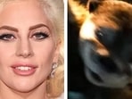Fans are curious to know whether Lady Gaga could play Lylla in Guardians of the Galaxy Vol. 3. Fans are curious to know whether Lady Gaga could play Lylla in Guardians of the Galaxy Vol. 3.