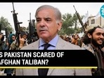 IS PAKISTAN SCARED OF AFGHAN TALIBAN? IS PAKISTAN SCARED OF AFGHAN TALIBAN?