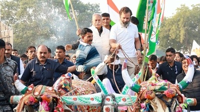 Congress leader Rahul Gandhi rides a bullock cart with supporters while leading the party's Bharat Jodo Yatra, in Bundi on Sunday. (ANI ) Congress leader Rahul Gandhi rides a bullock cart with supporters while leading the party's Bharat Jodo Yatra, in Bundi on Sunday. (ANI )