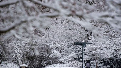Visitor walks through a snow covered Regent's Park in London, UK. (Bloomberg)